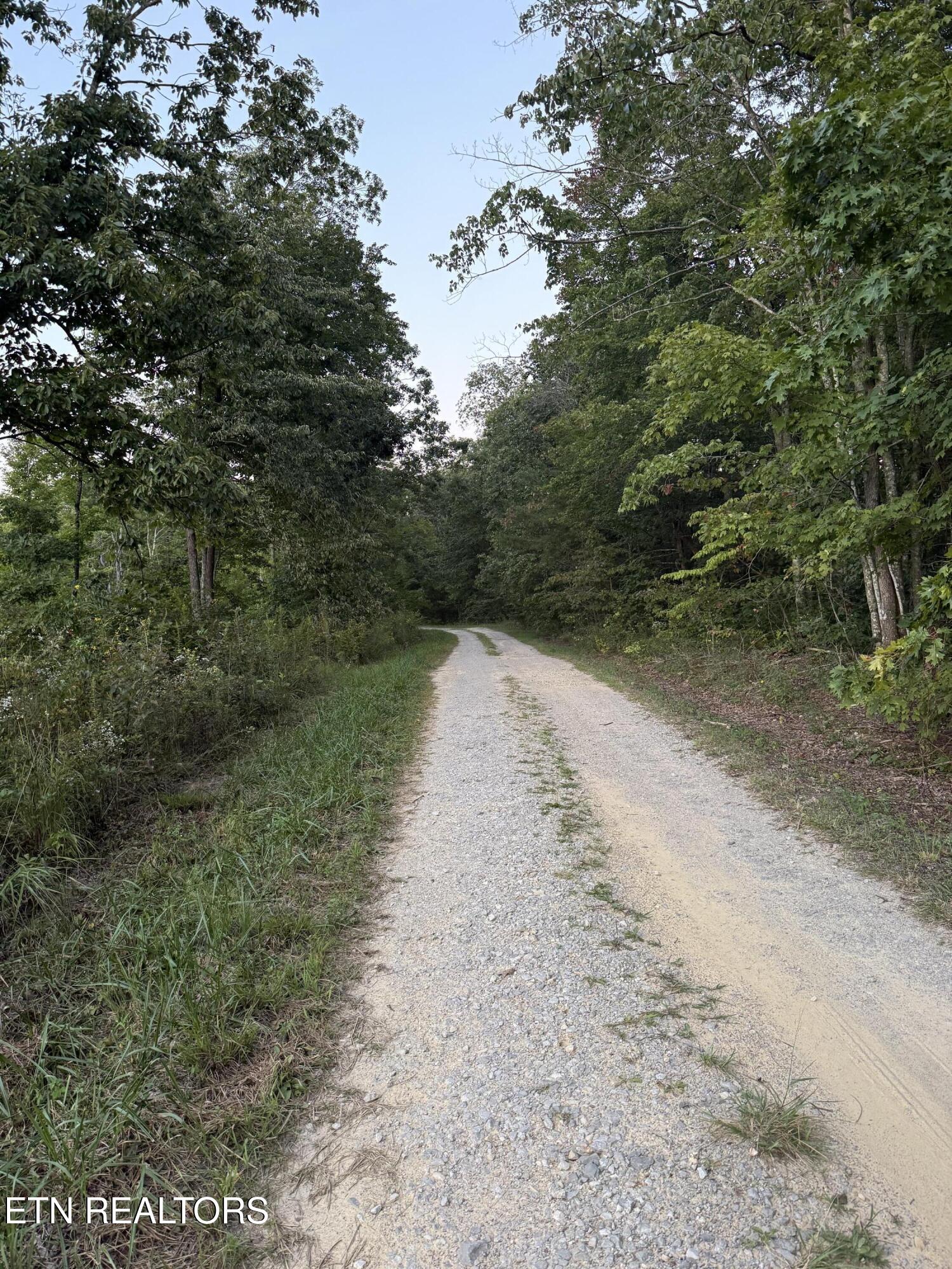Flat Rock Road Jamestown, TN 38556 - Photo 3 of 22 IMG_3946