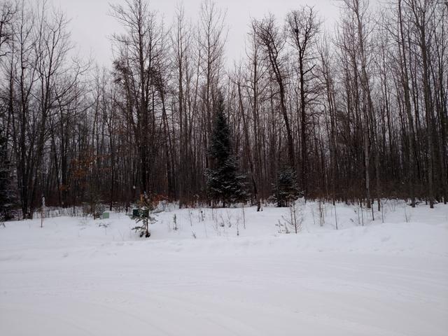 Lot 14 Pfeifer Road Tomahawk, WI 54487 - Photo 9 of 9 Gallery Image 9