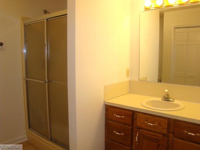 2519 Spero Road Randleman, NC 27317 - Photo 9 of 16 Master Bath/Spa.