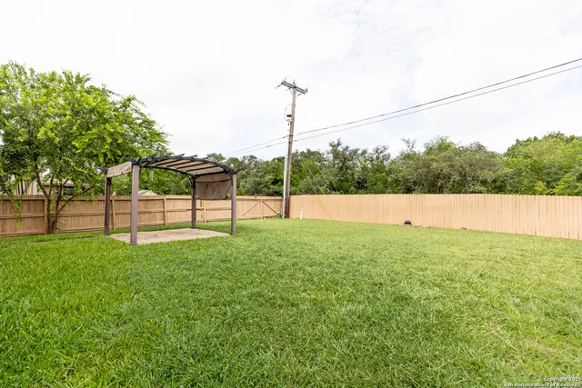 a view of a park with a tree