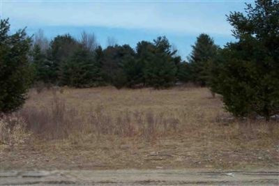 East Washington Road Branch, MI 49402 - Photo 1 of 1 Primary Photo