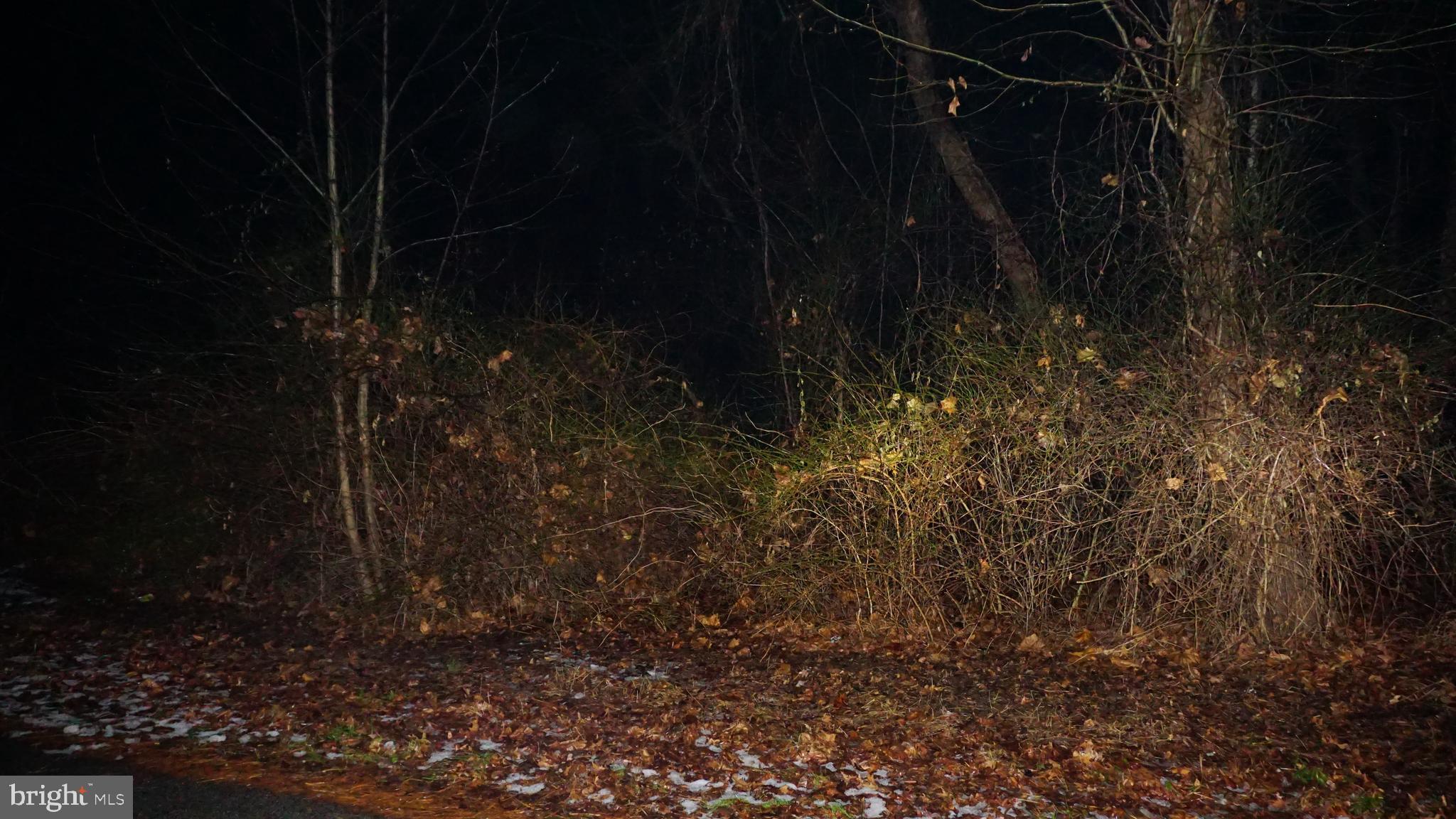 a close view of shower