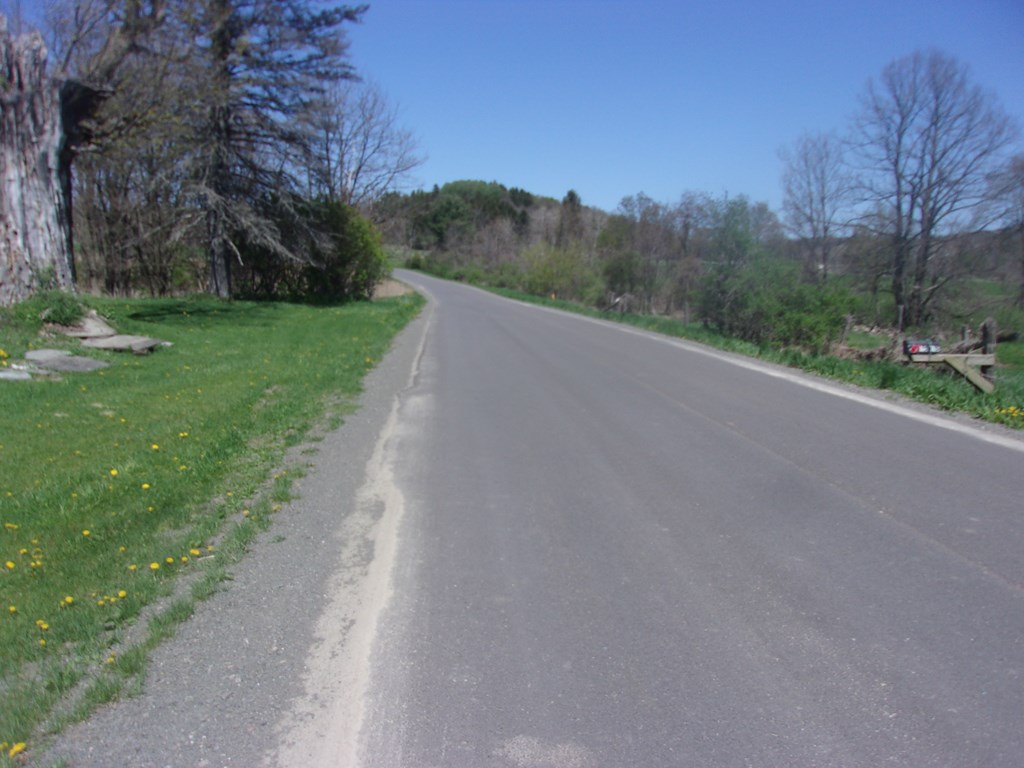 3505 Chapman Road Hector, NY 14805 - Photo 3 of 40 Gallery Image 3