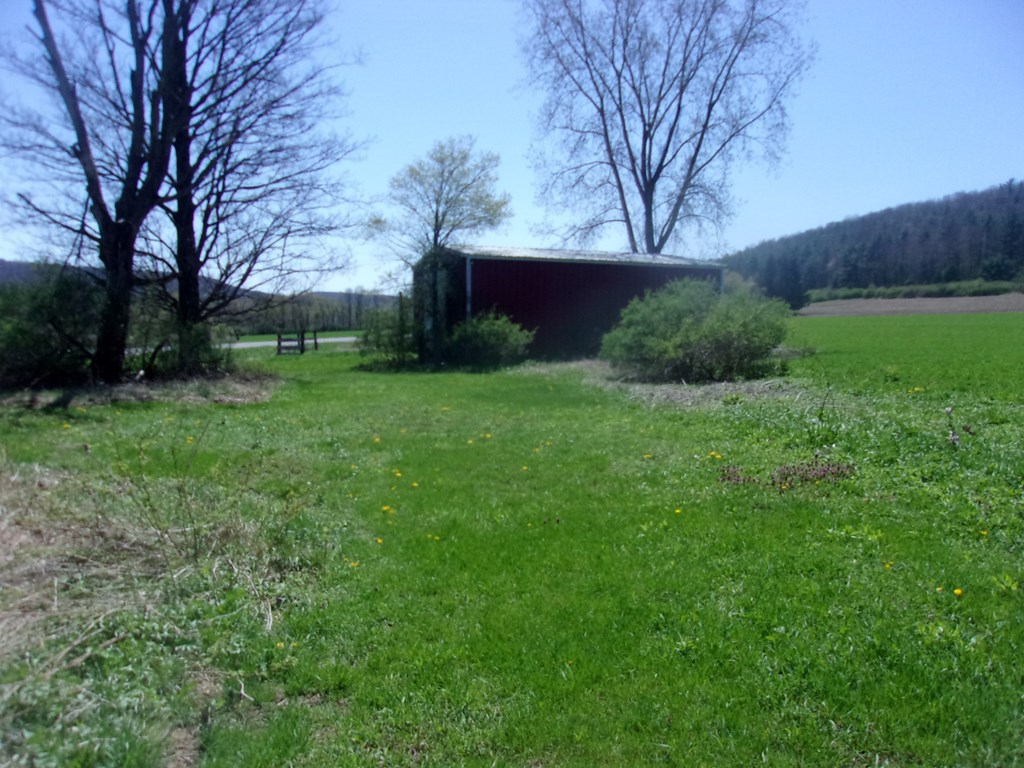3505 Chapman Road Hector, NY 14805 - Photo 9 of 40 Gallery Image 9
