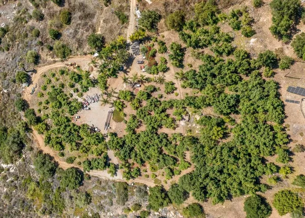 a view of a yard with a tree