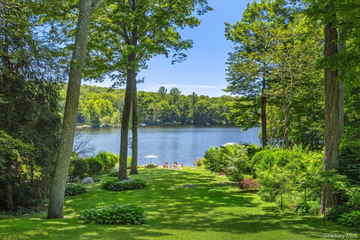 Water view with a forest
