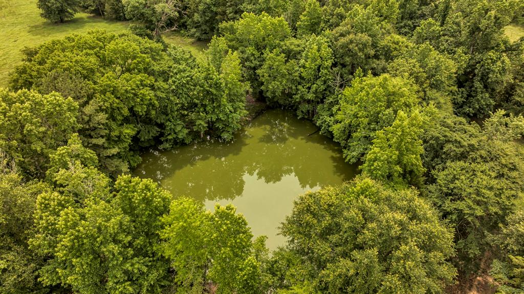 9822 Nasturtium Road Ore City, TX 75683 - Photo 11 of 37 a view of a lake view