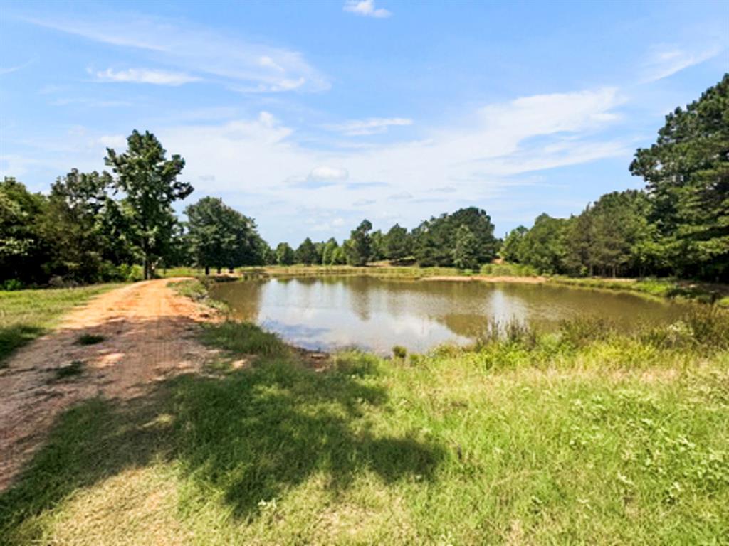 9822 Nasturtium Road Ore City, TX 75683 - Photo 13 of 37 a view of a lake with houses in the back