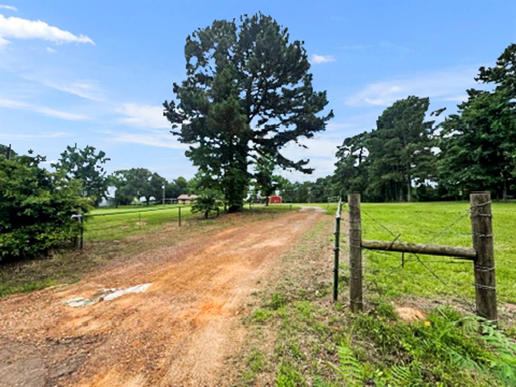 9822 Nasturtium Road Ore City, TX 75683 - Photo 2 of 37 a view of a field with tree in the background