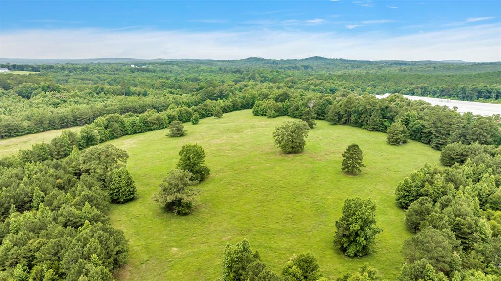 9822 Nasturtium Road Ore City, TX 75683 - Photo 4 of 37 a view of a lake with a city