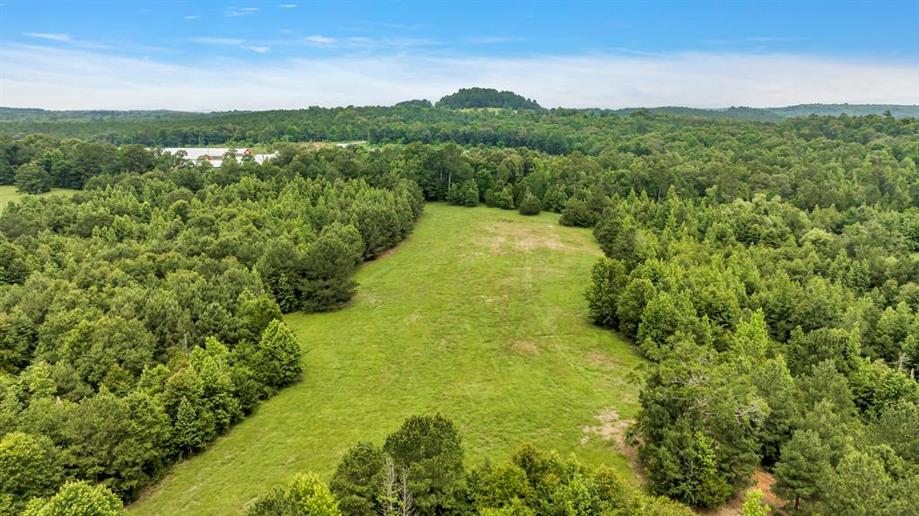 9822 Nasturtium Road Ore City, TX 75683 - Photo 6 of 37 a view of a green field with lots of bushes
