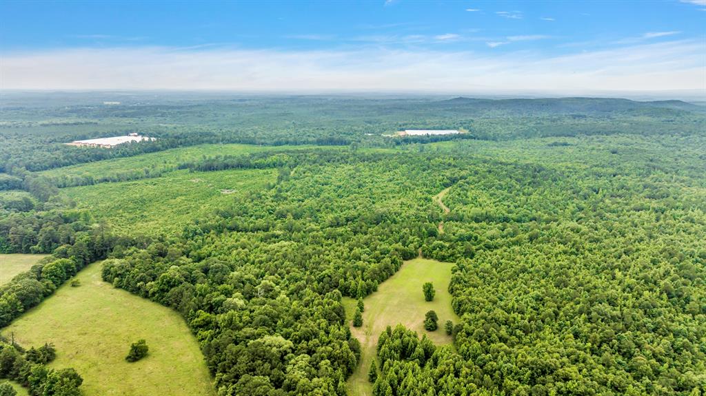 9822 Nasturtium Road Ore City, TX 75683 - Photo 8 of 37 a view of a bunch of trees and bushes