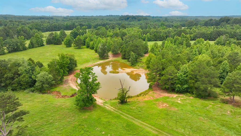 9822 Nasturtium Road Ore City, TX 75683 - Photo 9 of 37