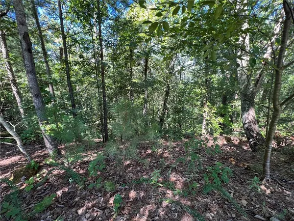 $170,000 | 16 Hawks Branch Lane, White, GA 30184