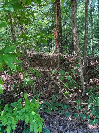 $170,000 | 16 Hawks Branch Lane, White, GA 30184