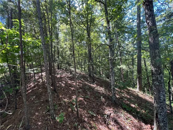 $170,000 | 16 Hawks Branch Lane, White, GA 30184