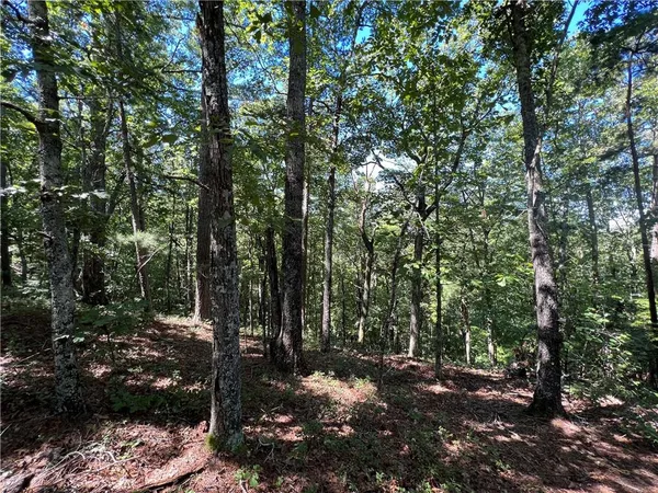 $170,000 | 16 Hawks Branch Lane, White, GA 30184