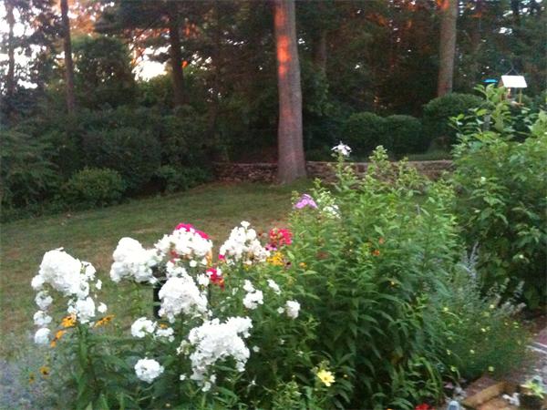 69 Churchill Road Quincy, MA 02169 - Photo 15 of 16 Gallery Image 15