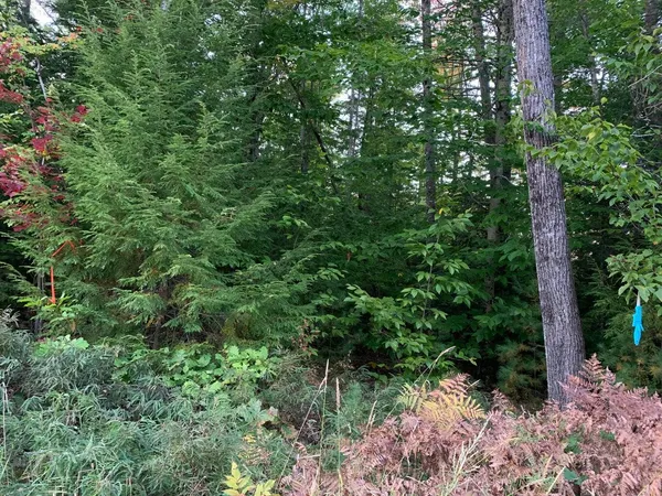 $120,000 | 0 Chaplin Mills Road, Naples, ME 04055