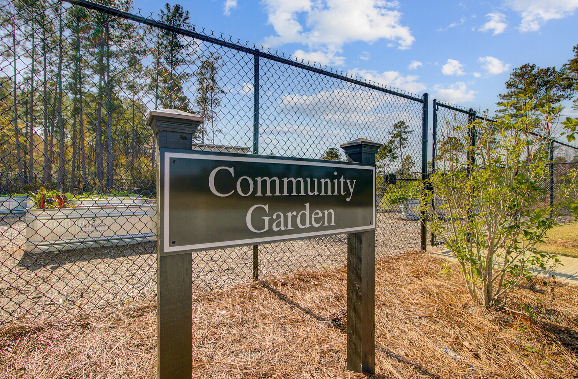 771 Blue Iris Way Summerville, SC 29486 - Photo 97 of 99 101_15 (2)_mls