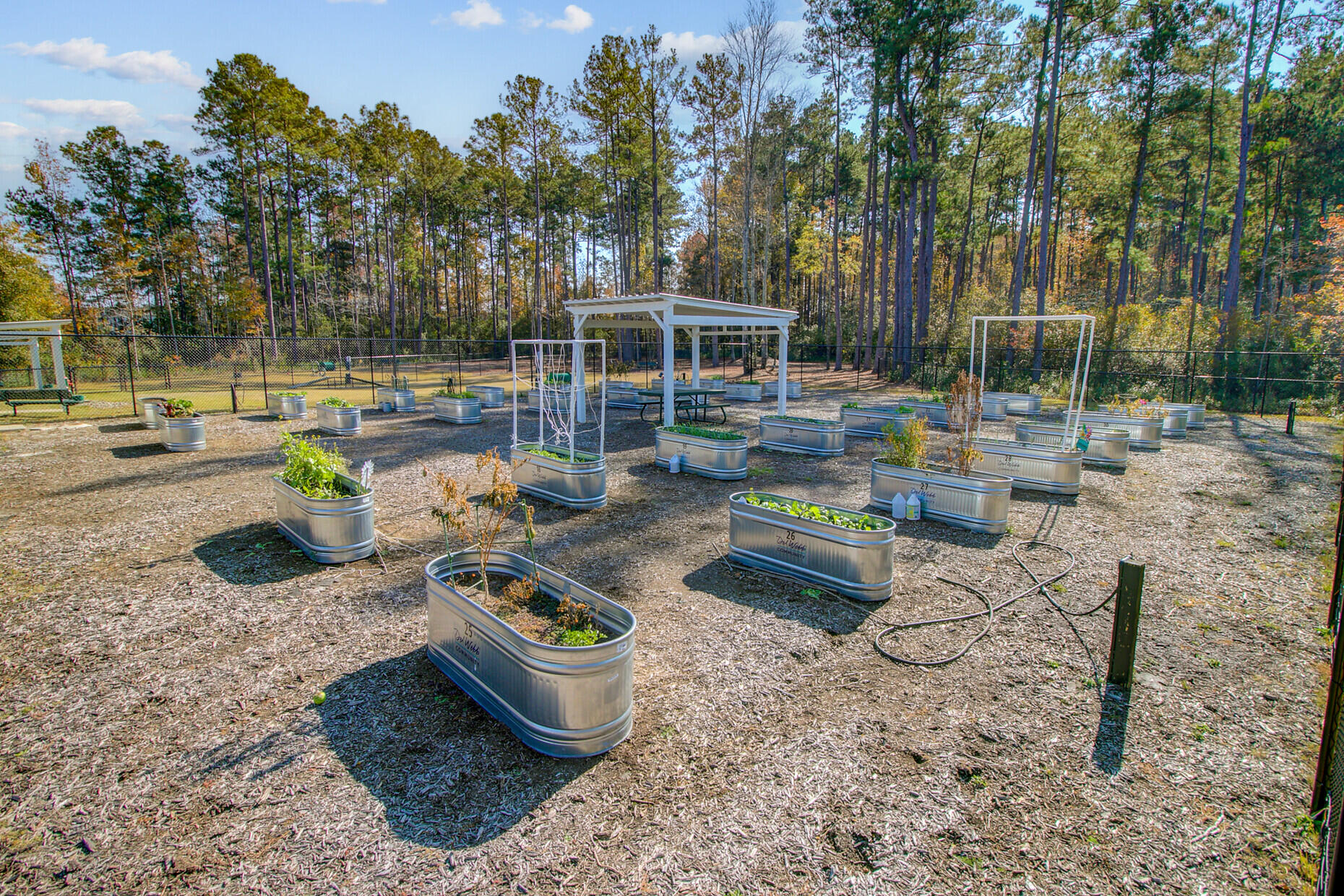 771 Blue Iris Way Summerville, SC 29486 - Photo 99 of 99 103_17 (2)_mls