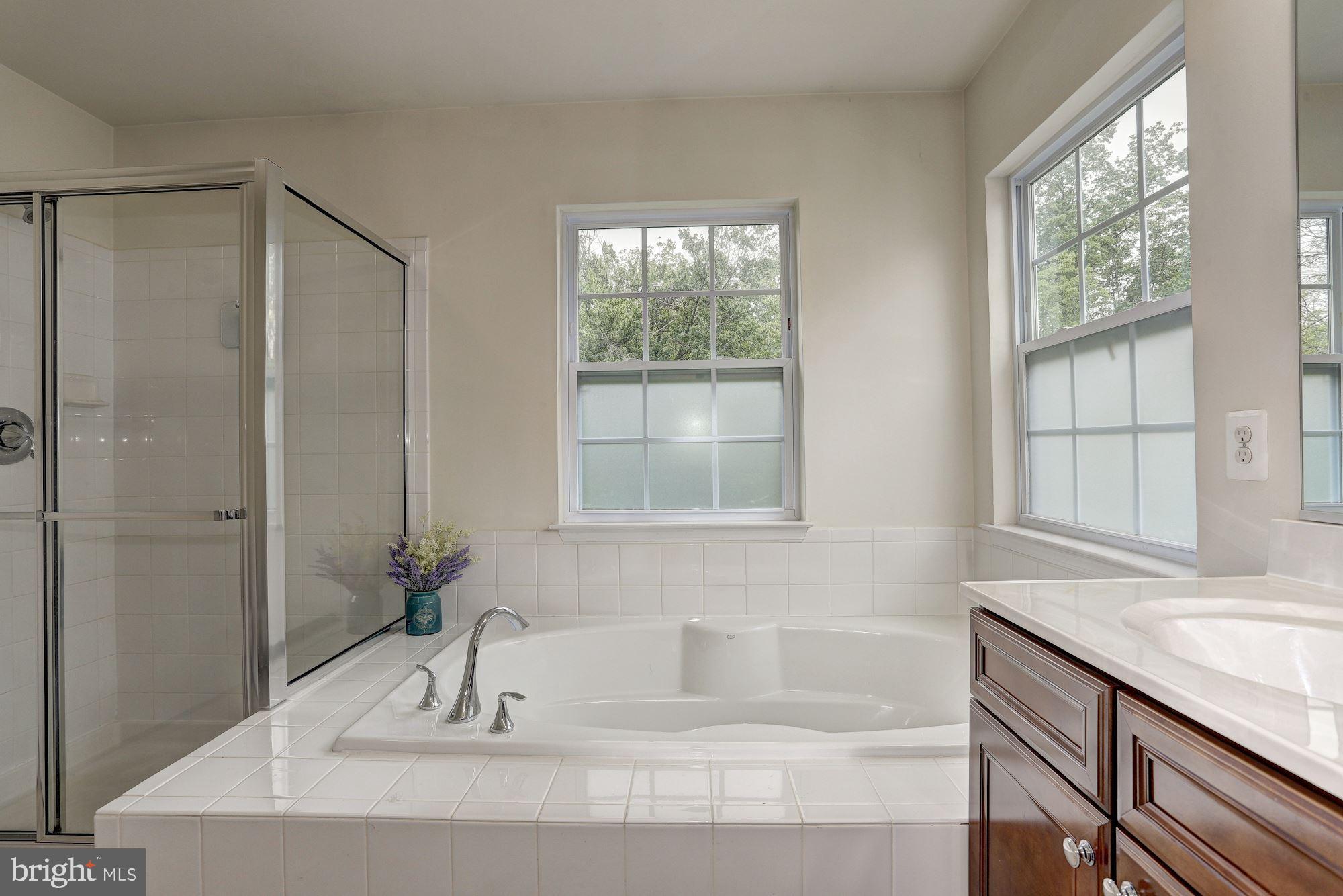 6309 Seton Ridge Drive Baltimore, MD 21207 - Photo 19 of 30 Master Bath Room
