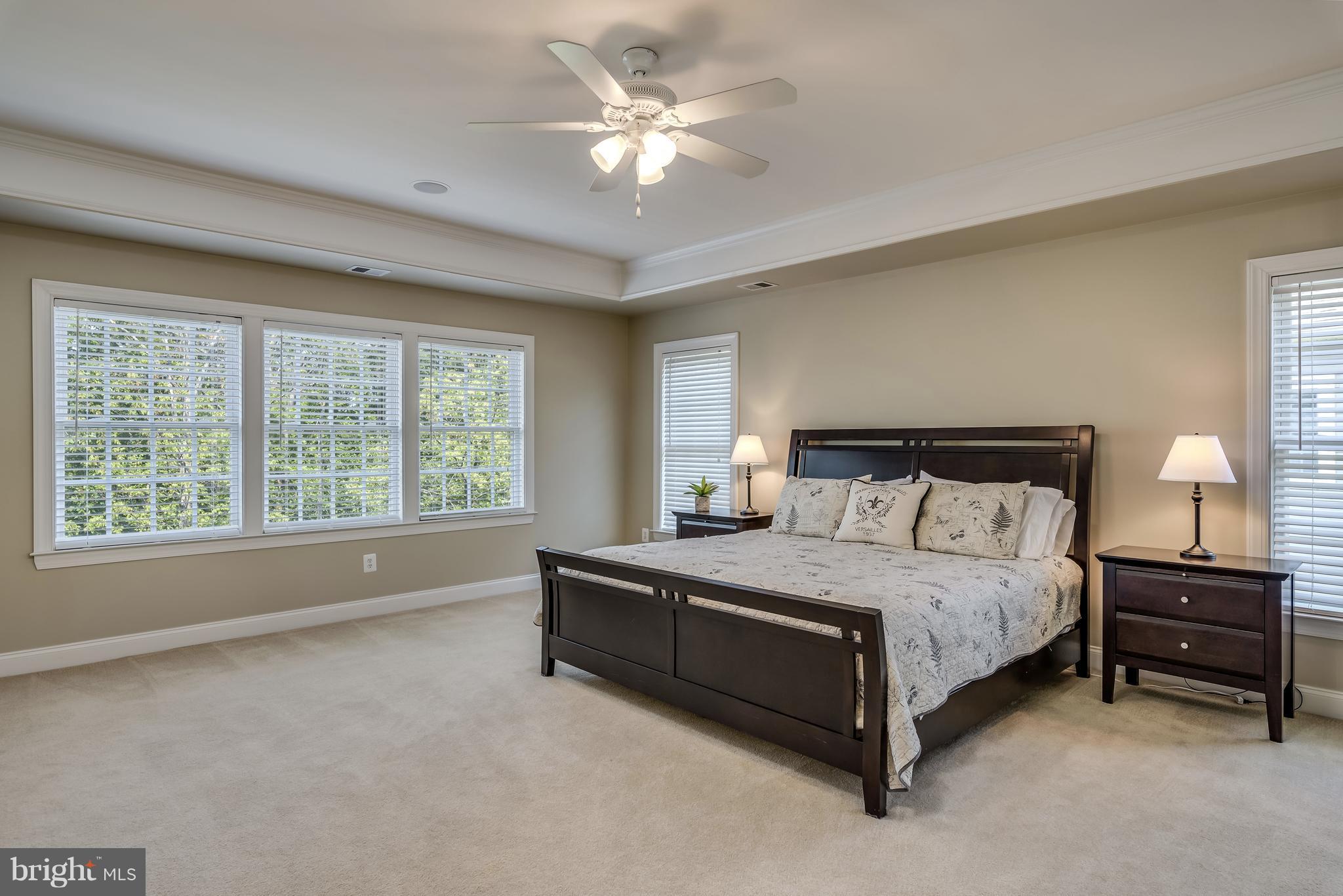 42724 Ridgeway Drive Broadlands, VA 20148 - Photo 14 of 30 a bedroom with a bed and a ceiling fan in it