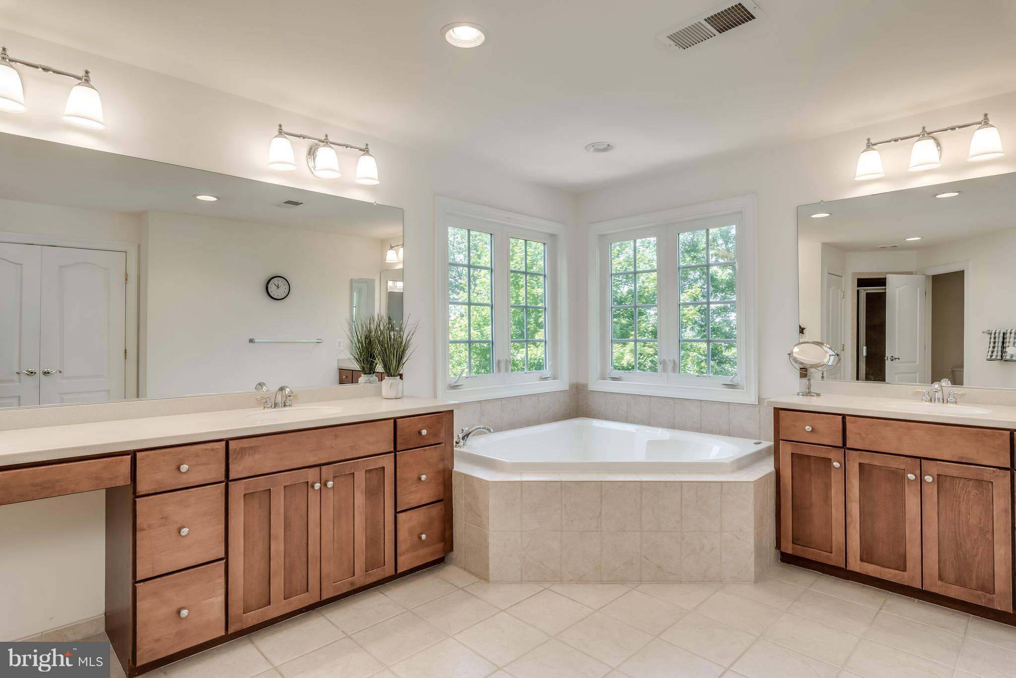 42724 Ridgeway Drive Broadlands, VA 20148 - Photo 16 of 30 a spacious bathroom with a large tub sink and mirror
