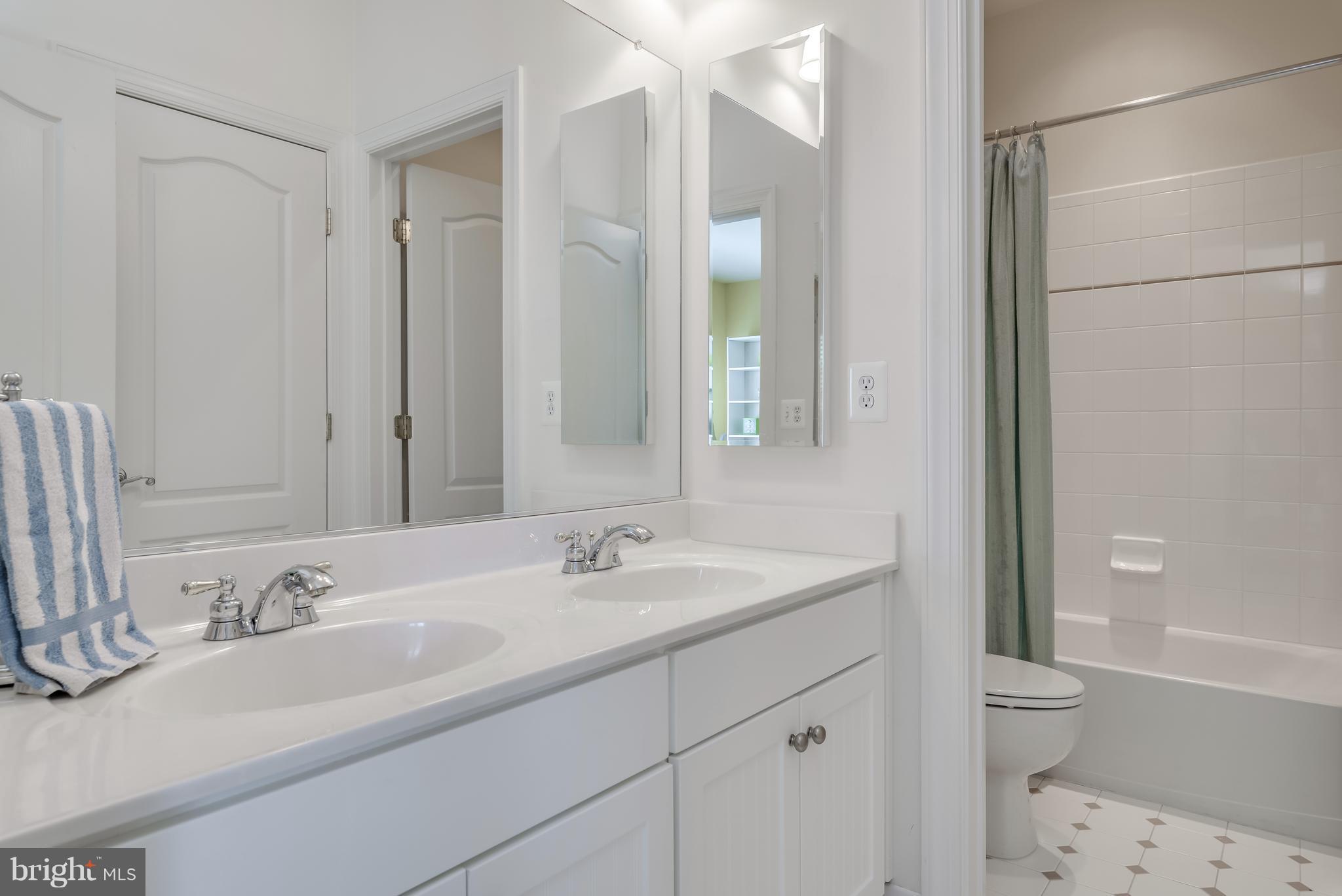 42724 Ridgeway Drive Broadlands, VA 20148 - Photo 21 of 30 a bathroom with a sink a toilet and shower