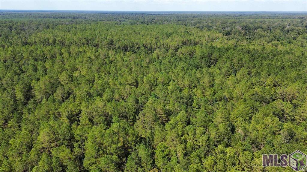 Tbd Golden Street Springfield, LA 70462 - Photo 2 of 2