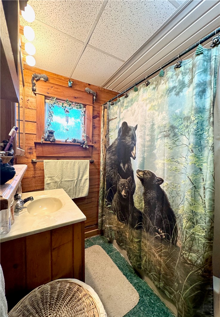 187 George Wade Road Guilford, NY 13780 - Photo 18 of 47 1st Floor Bathroom