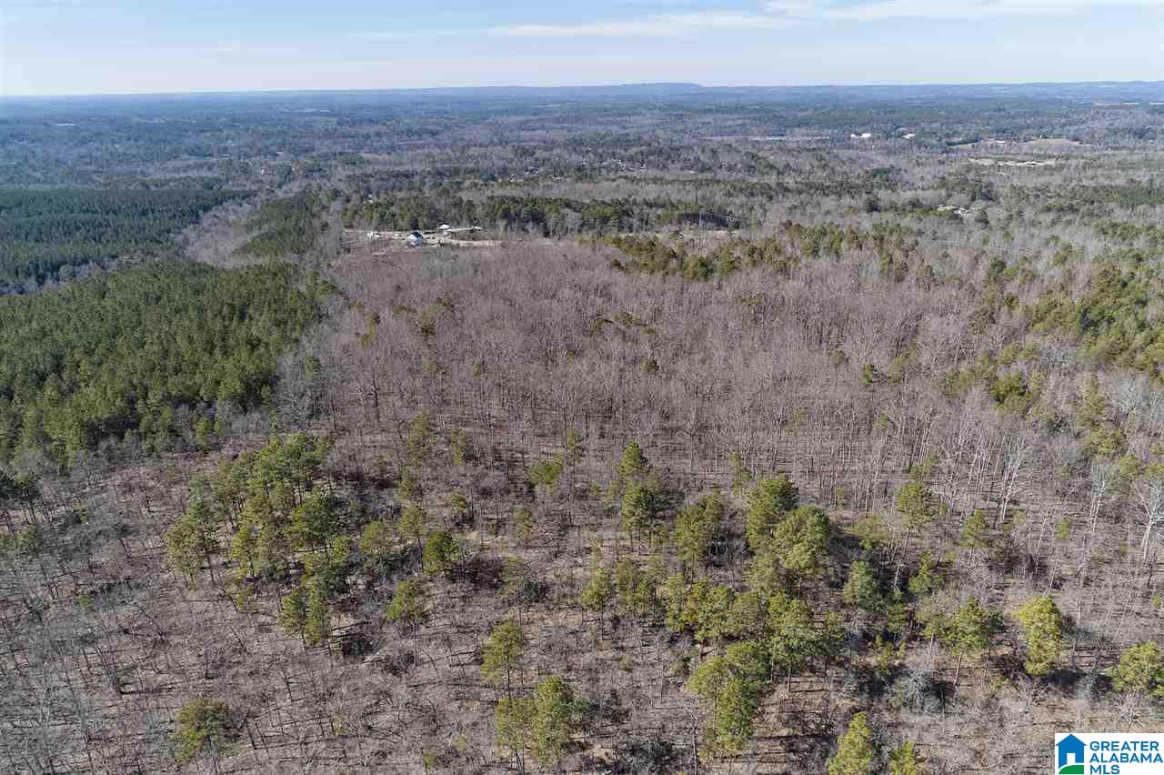 0 Mountain Drive, Unit 159ACRES Remlap, AL 35133 - Photo 2 of 8