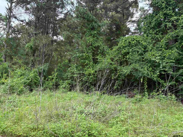 a view of a lush green forest
