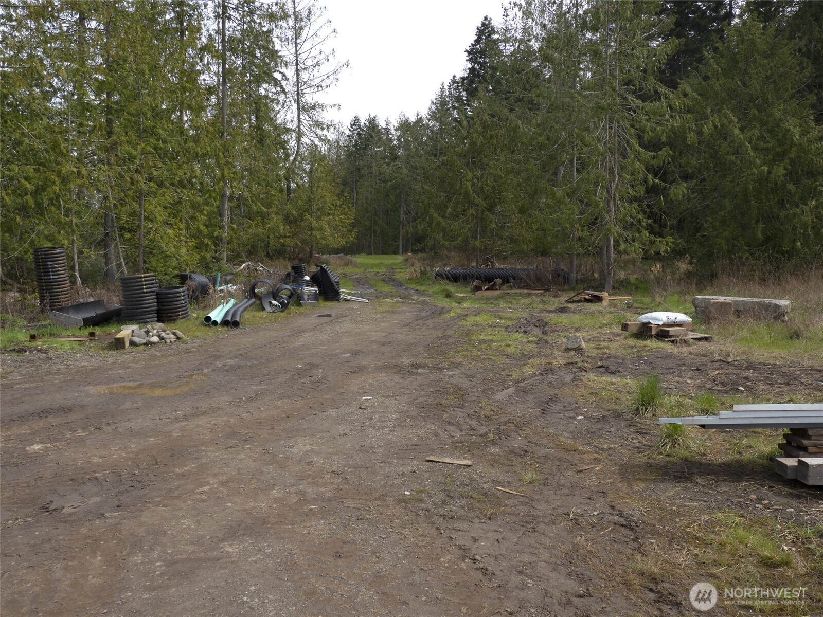 2116 South 7th Avenue Sequim, WA 98382 - Photo 4 of 11 a view of a park with large trees