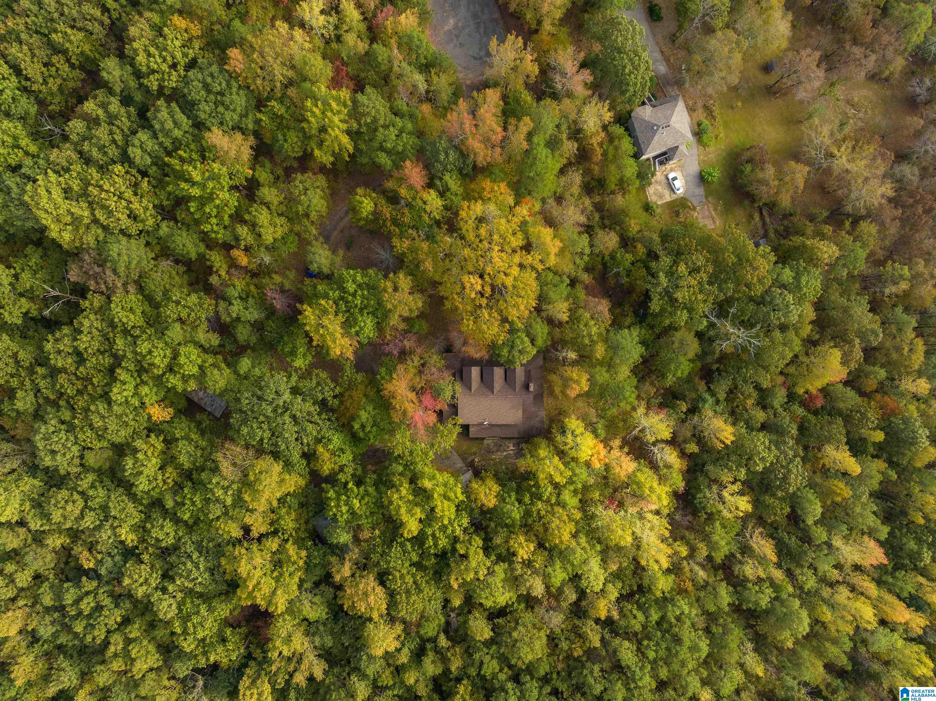 664 Ridge View Drive Trussville, AL 35173 - Photo 48 of 49