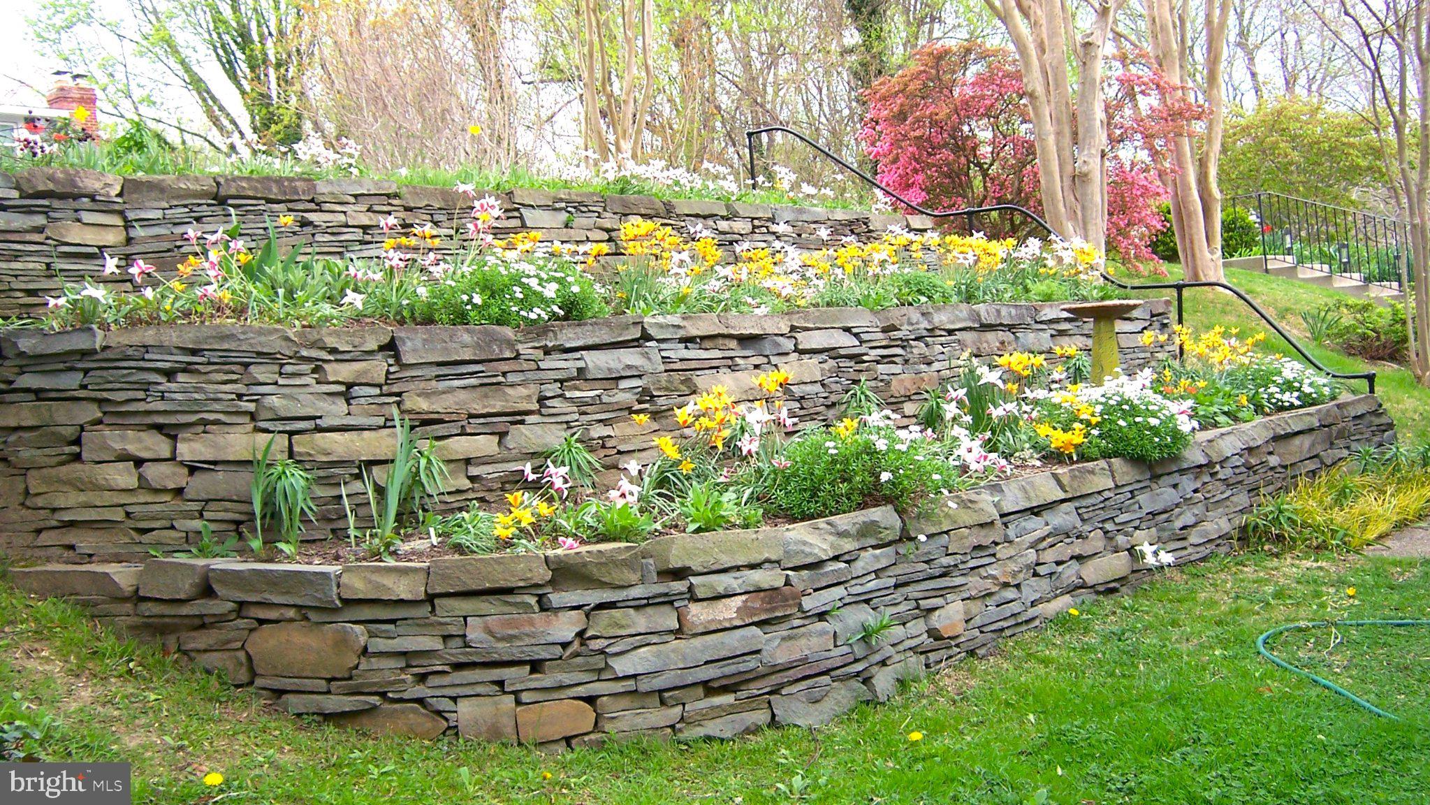 4884 Ridge Road Chesapeake Beach, MD 20732 - Photo 2 of 55 Terraced front gardens in the Spring
