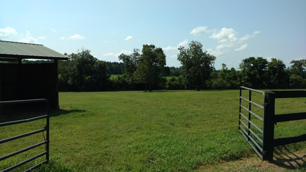 1116 Shaws Fork Road Aiken, SC 29805 - Photo 16 of 32