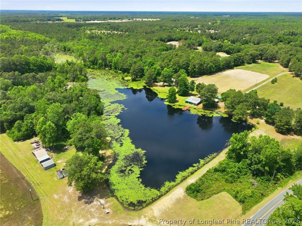 10400 Ruth Vinson Road Autryville, NC 28318 - Photo 8 of 49 a view of a lake with a yard