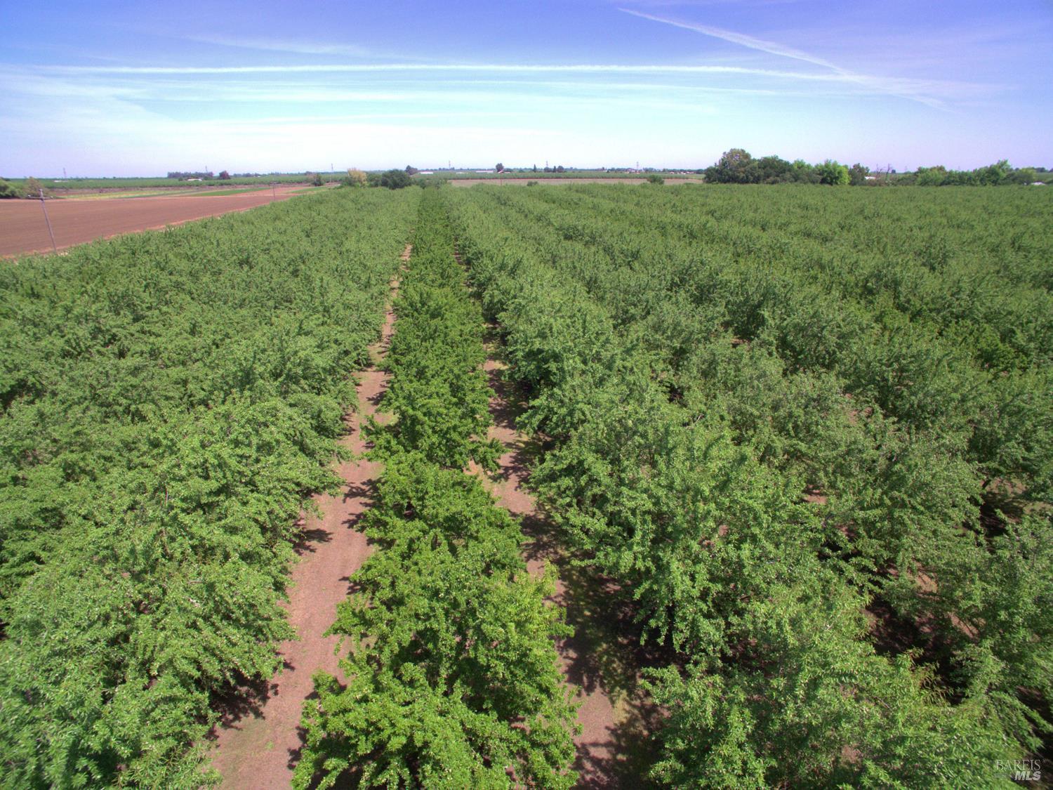 7948 North Meridian Road Dixon, CA 95620 - Photo 55 of 59 a view of a field with an ocean
