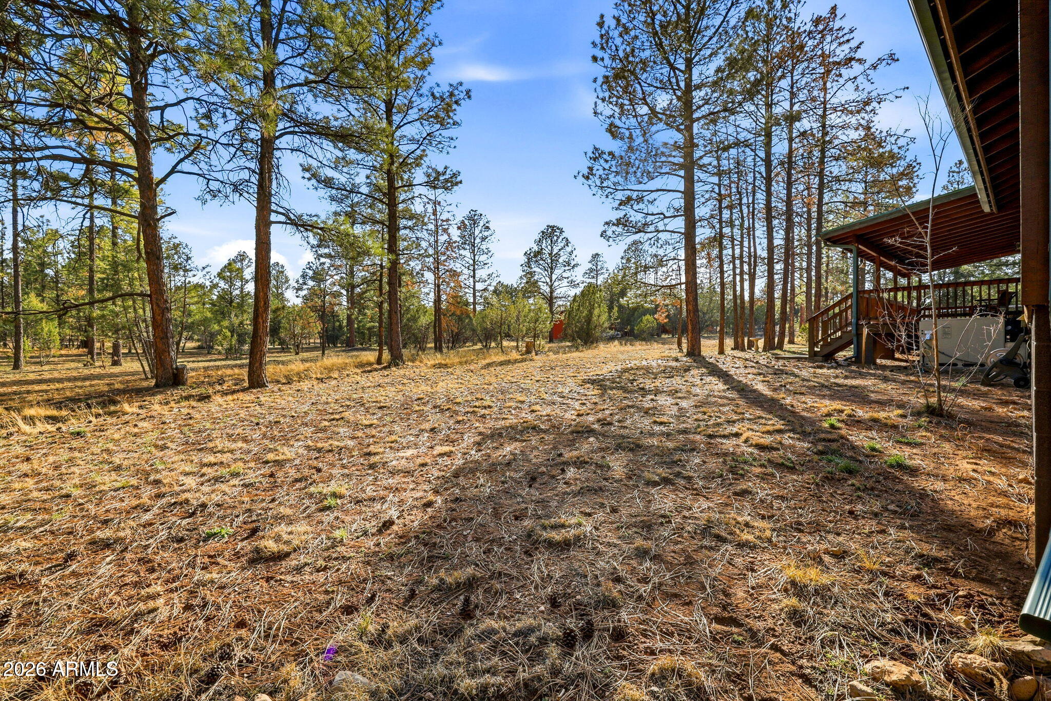 2233 Del Rio Circle Overgaard, AZ 85933 - Photo 42 of 58 2233DelRioCir-HeberOvergaardAZ-37