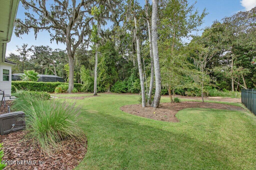 208 Fells Cove St. Johns, FL 32259 - Photo 87 of 100 Private Backyard