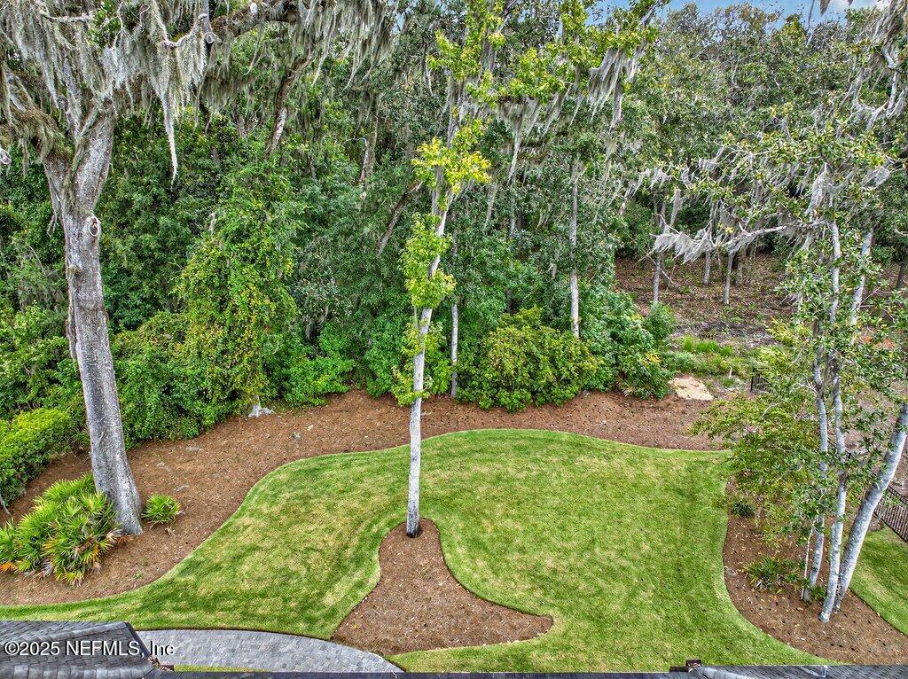 208 Fells Cove St. Johns, FL 32259 - Photo 88 of 100 Private Backyard