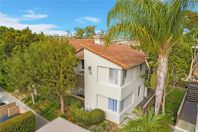 a aerial view of a house with a yard and potted plants
