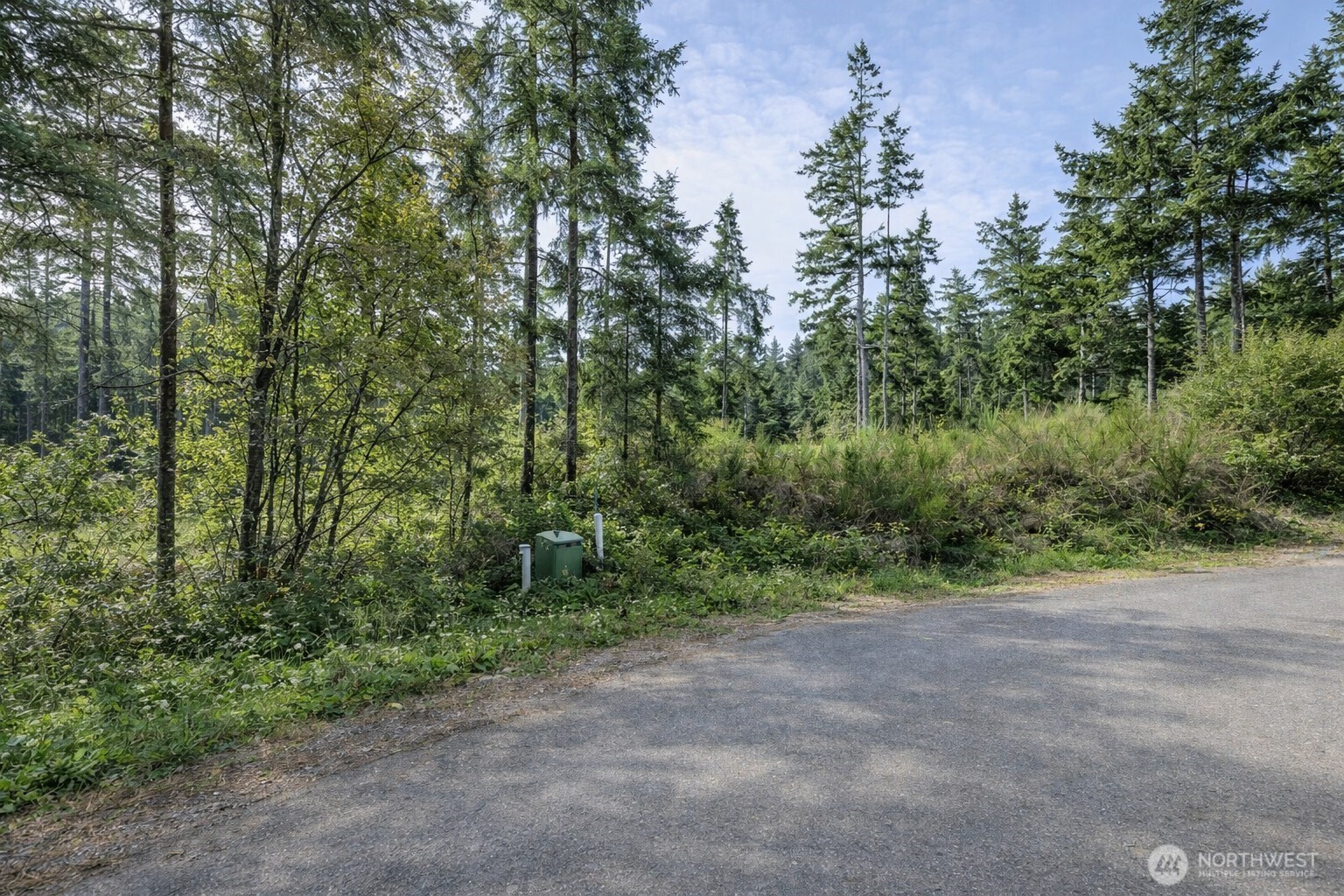 33044 Southeast Coachman Court Olalla, WA 98359 - Photo 13 of 18