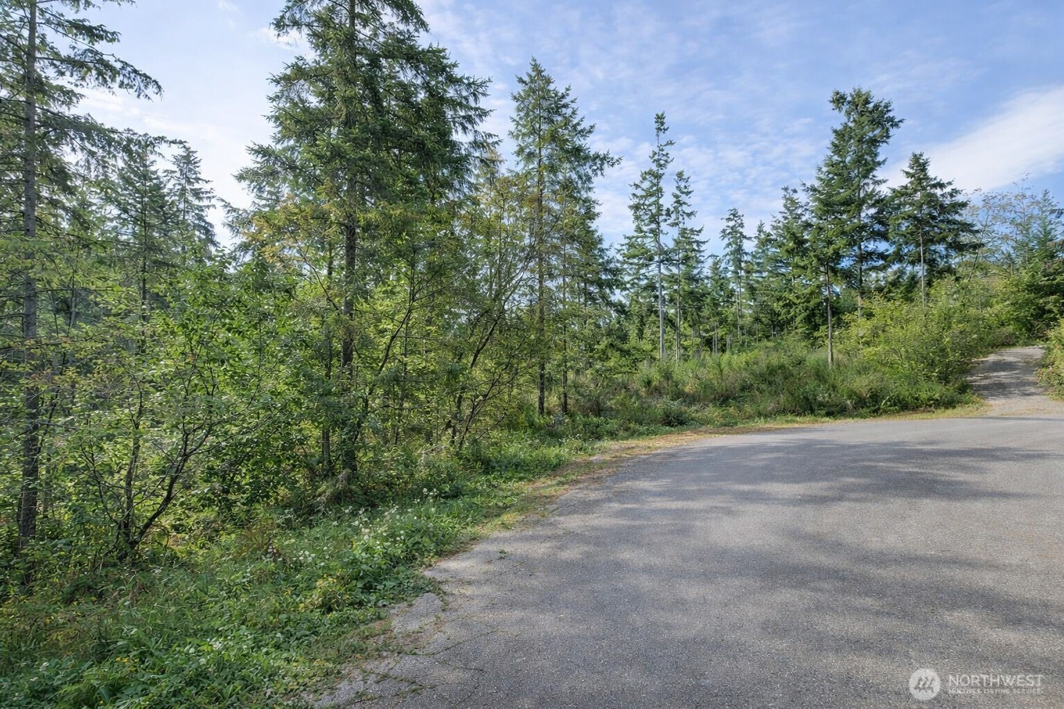 33044 Southeast Coachman Court Olalla, WA 98359 - Photo 15 of 18