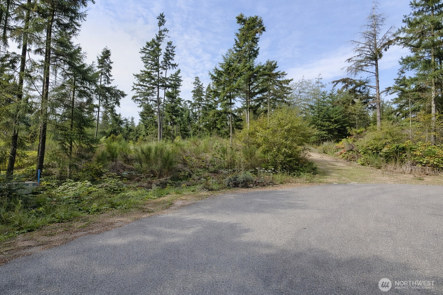 33044 Southeast Coachman Court Olalla, WA 98359 - Photo 3 of 18