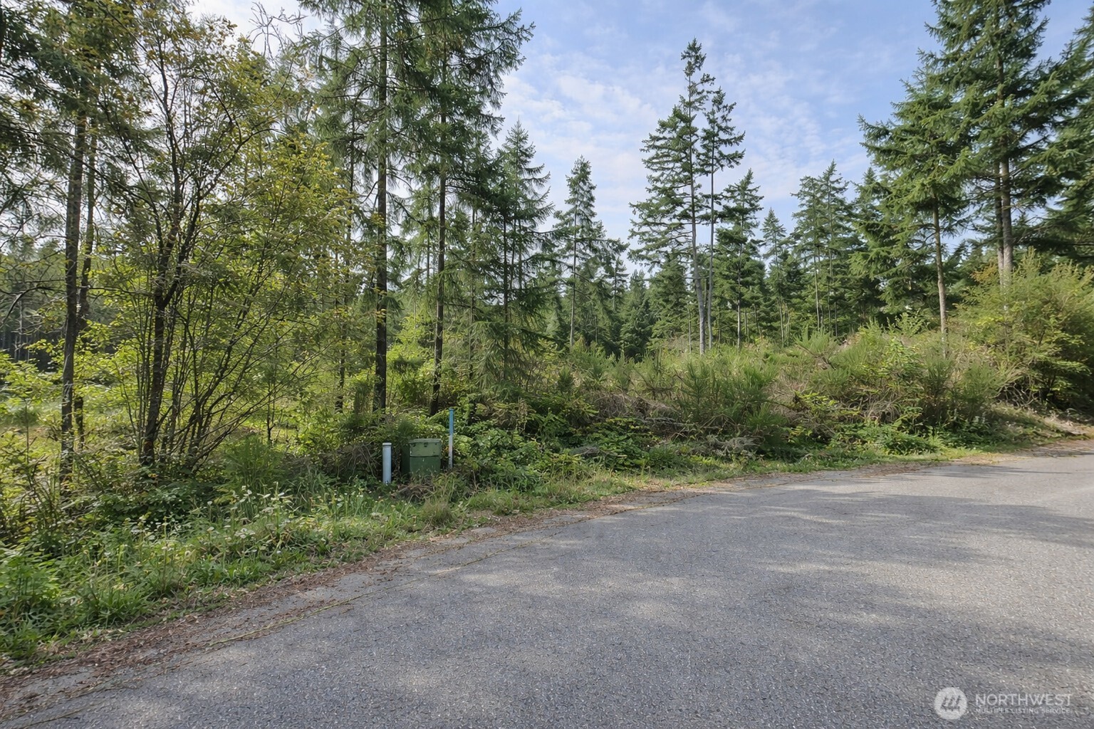 33044 Southeast Coachman Court Olalla, WA 98359 - Photo 5 of 18