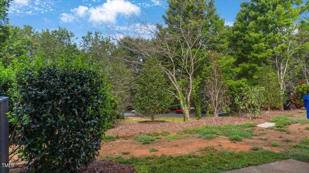 4824 Sir Duncan Way Raleigh, NC 27612 - Photo 28 of 32 25-DSC03289