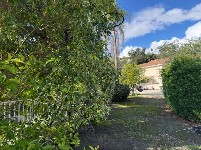 a view of yard with green space