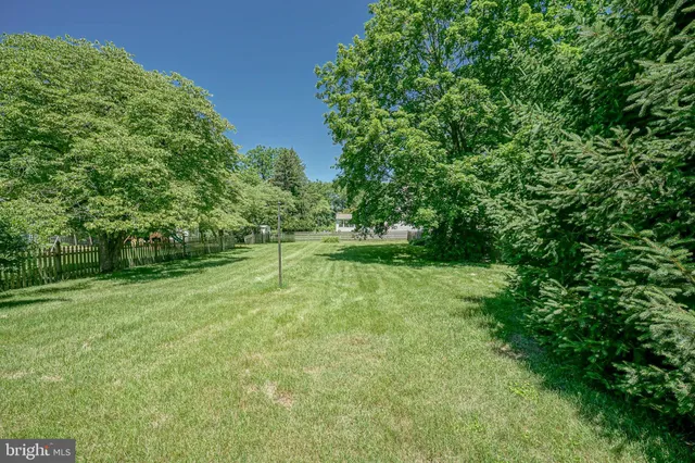 a view of a field with a tree